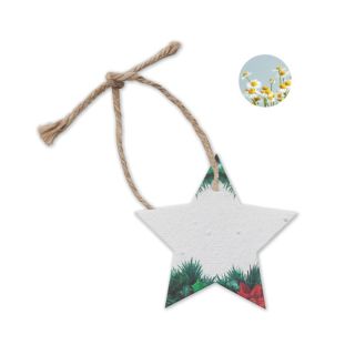 Seed paper Xmas ornament 