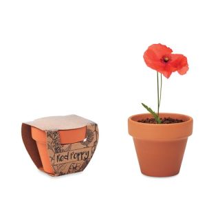 Terracotta-Topf Mohnblume RED POPPY